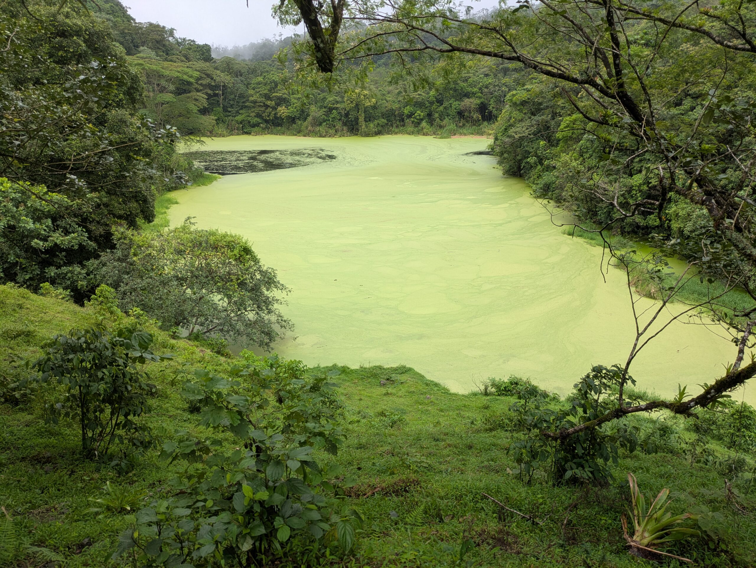 Frugal Musts In Costa Rica