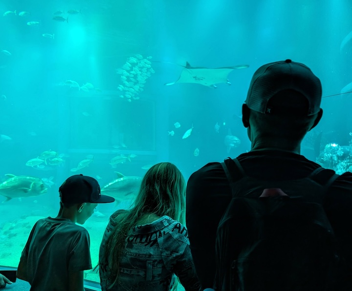 Aquarium & Shinsekai