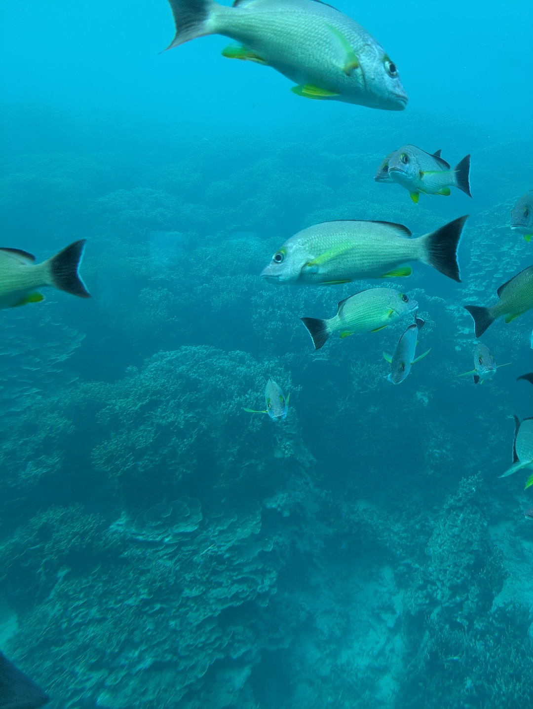 Be With The Fishes At Fish Eye Marine Park