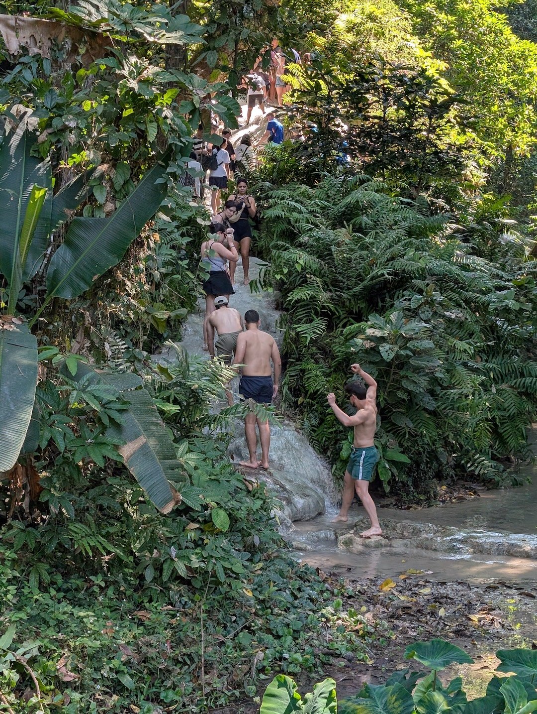 line of people going up sticky waterfall