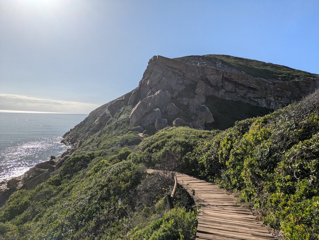 ocean and green hillside