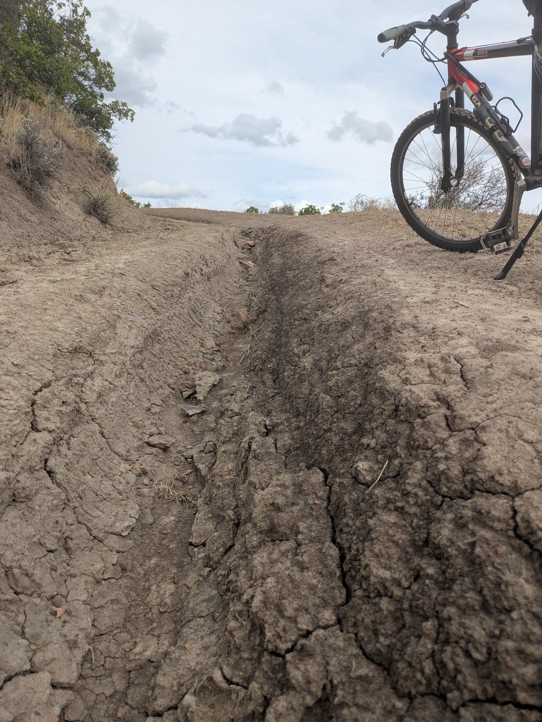 ruts